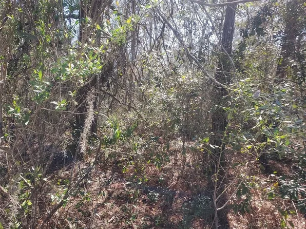 11060 NE 64th Pl #3, Williston, FL 32696