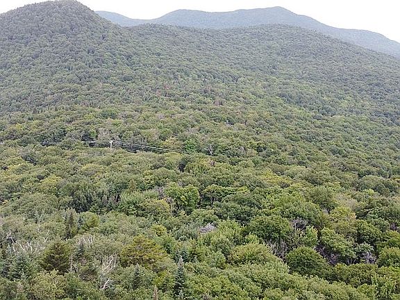 2nd image of 1445 Stevens Mill Rd