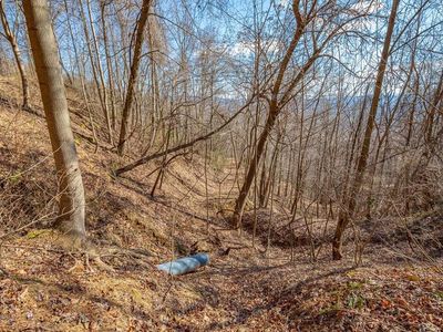 LOT 120 Spring Pond Trl, Fancy Gap VA - Owner Finance Home