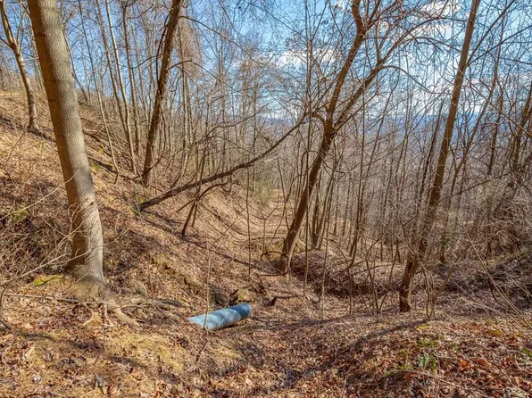 LOT 120 Spring Pond Trl, Fancy Gap, VA 24328