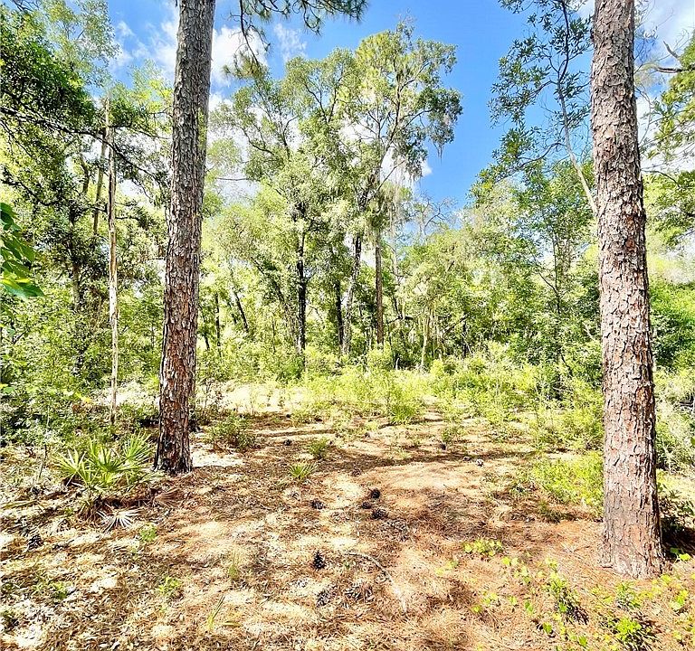 1st image of 10719 E Tree Ln