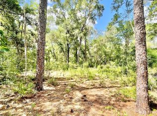 10719 E Tree Ln, Inverness, FL 34450