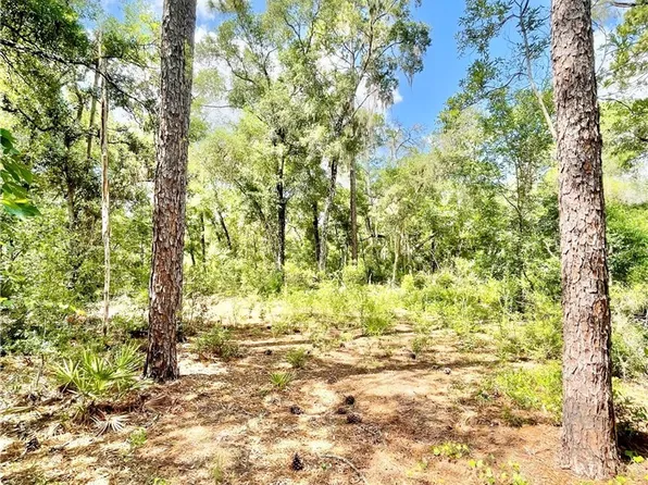 10719 E Tree Ln, Inverness, FL 34450