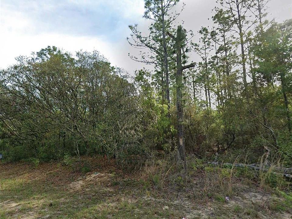 1st image of 7745 N MALTESE DRIVE LOT 8