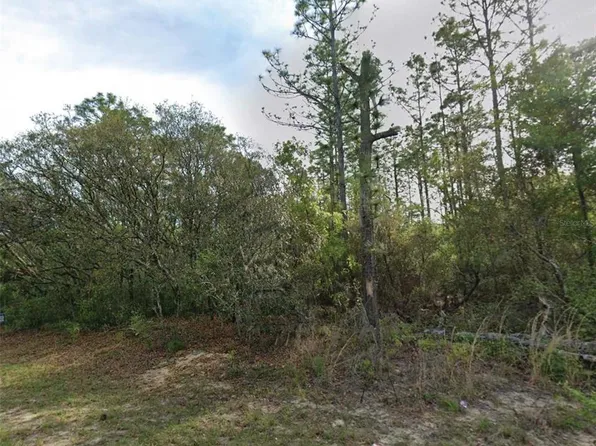 7745 N Maltese Dr Lot 8, Dunnellon, FL 34433