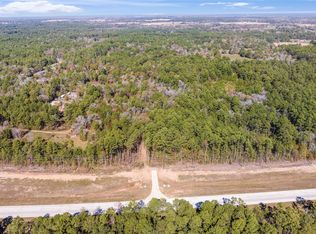 35 State Highway 249, Plantersville, TX 77363