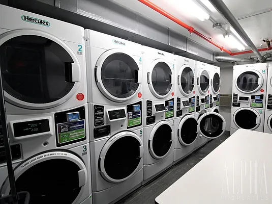 Rented by Alpha Properties NYC I LLC | media 7