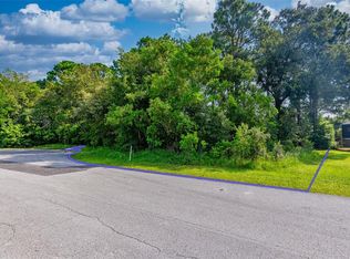 Lakeview Ct LOT 2, Spring Hill, FL 34608