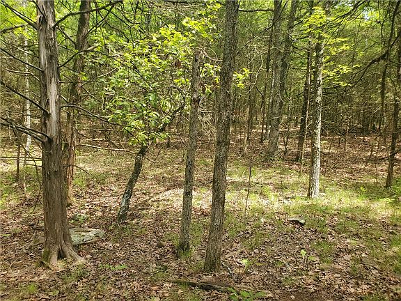 5th image of 582 Hale Rd #6