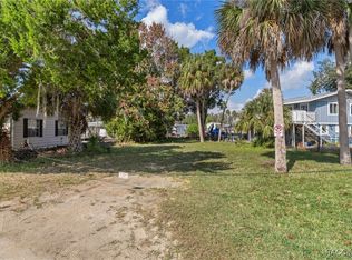 10199 W Blue Springs Ct, Homosassa, FL 34448
