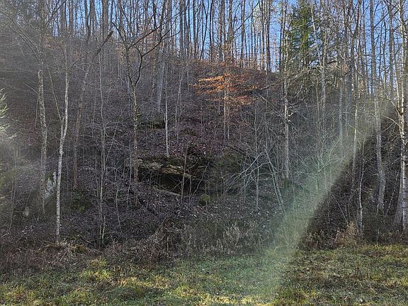 2nd image of 0 Buck Fork Rd