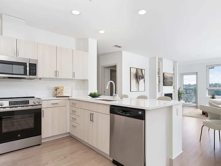 Stainless-steel appliances and modern flat panel wood grain cabinets