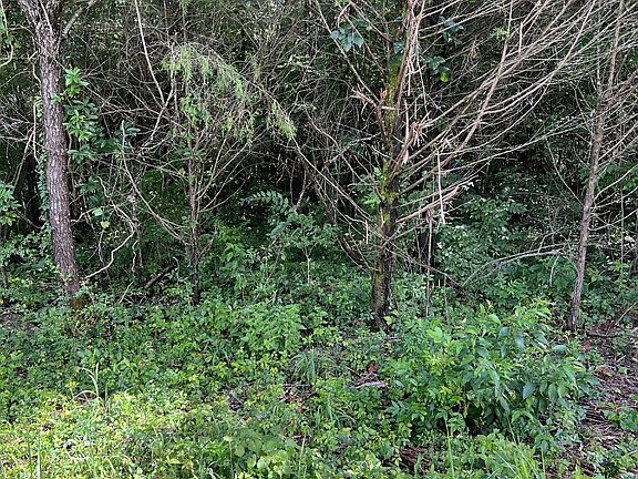 4th image of 0 Tulip Ave Lot 53-54
