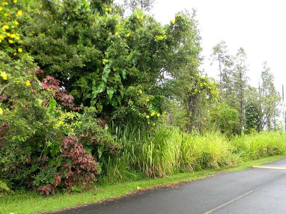 1st image of Ohia Dr Lot 27