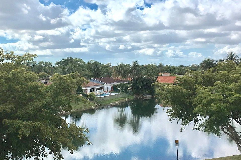 View from windows
