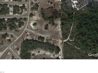316 W Bass St, Kissimmee, FL 34741