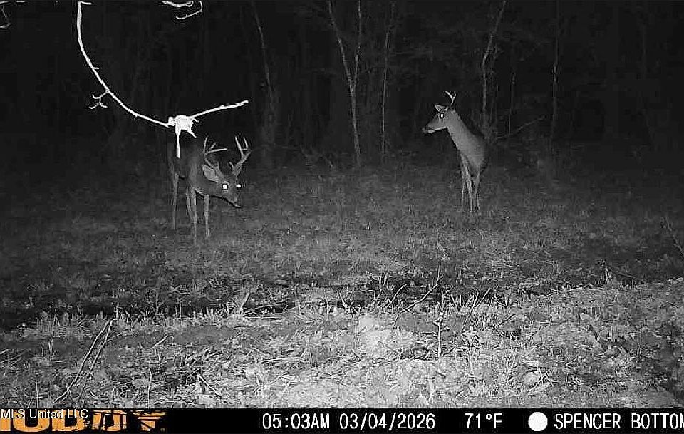 1st image of Bogue Chitto Rd