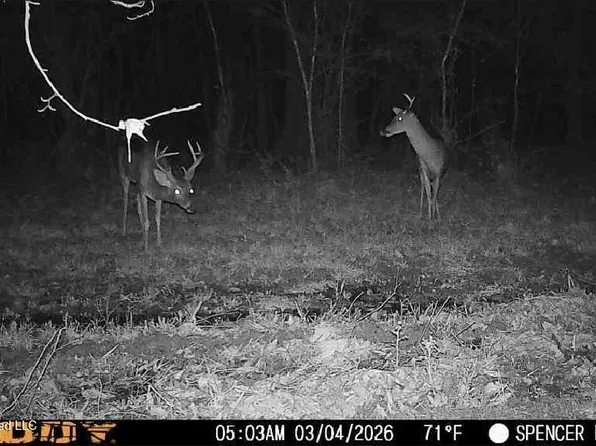 Bogue Chitto Rd, Bogue Chitto, MS 39629