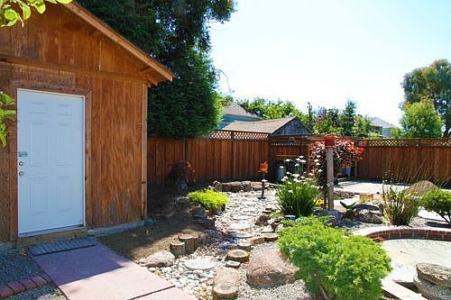 Backyard - south facing