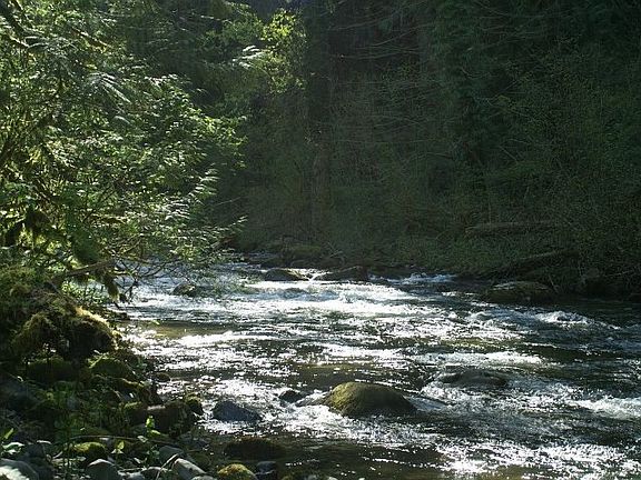 Raging River 84 ft frontage