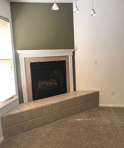 Gas fireplace