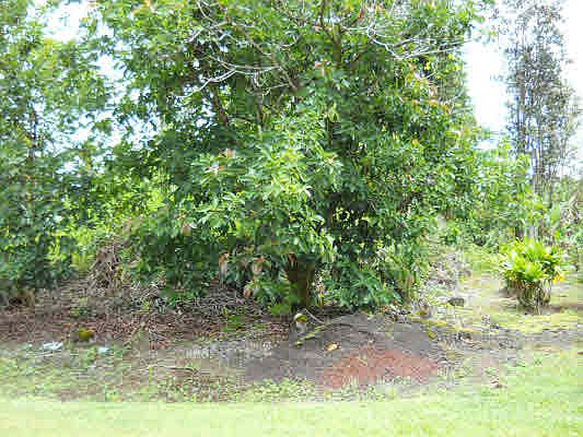 2nd image of Alamihi St Lot 210