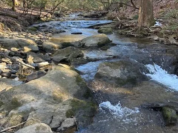 0 Clear Creek Preserve Way, Ellijay, GA 30536