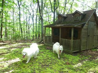 24 Black Bear Rd, Maysville, WV