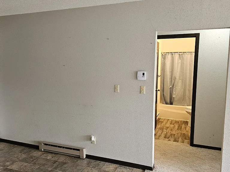 407 S Madison St — Photo 12