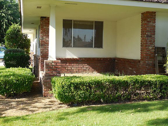 Front Elevated Garden