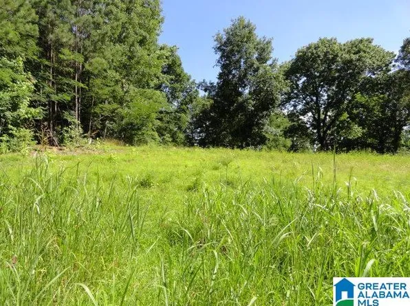 3286 Hillcrest Place Highlands Lot 8, Adamsville, AL 35005