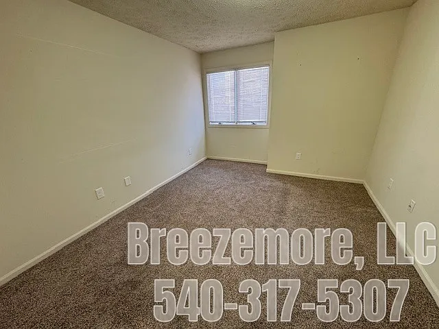 2 bed, 1000 sqft, $1,600 — Photo 3