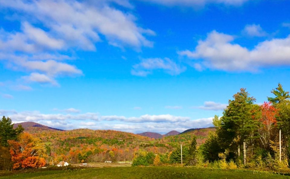 View from the living room