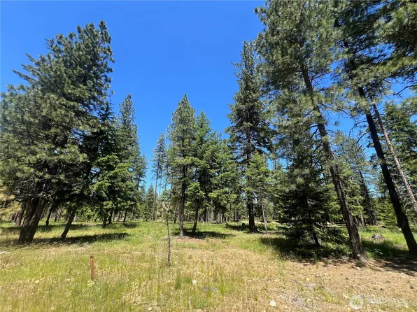 33 Domerie Park Loop, Cle Elum, WA 98922