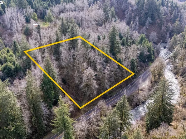 48450 Little Nestucca River Hwy, Cloverdale, OR 97112
