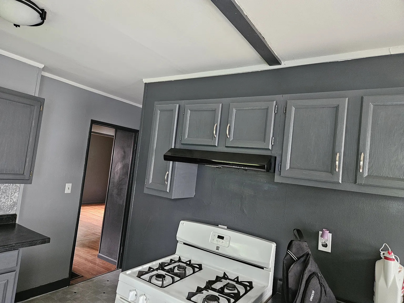 2 bed, 768 sqft, $1,250 — Photo 3
