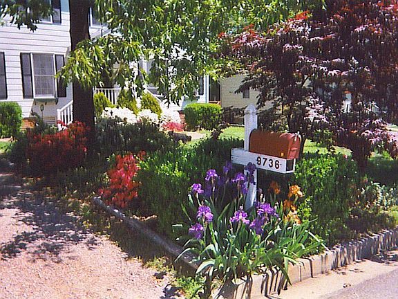 Mailbox garden - before we paved the driveway