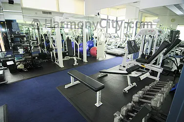 Rented by Harmonycity Corp.