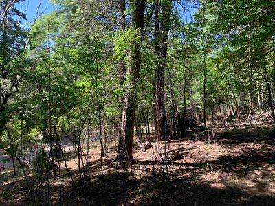 1204 Eight Blanca Vis, Cloudcroft, NM, 88317