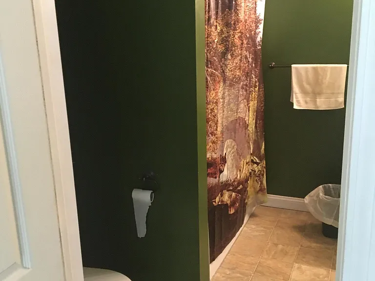 Master bathroom