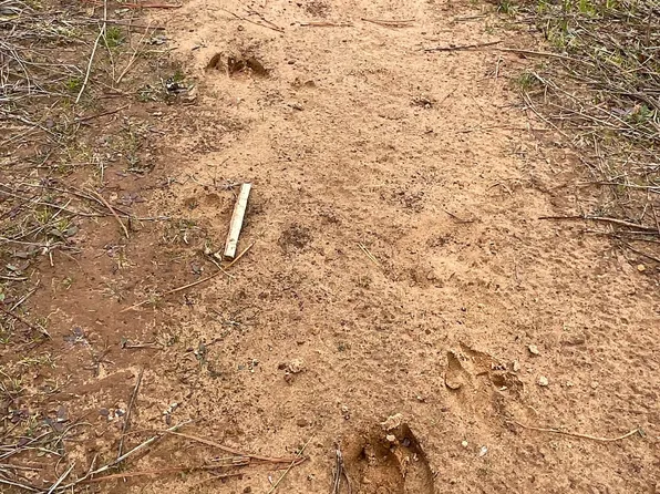 125 Fm, Linden, TX 75563