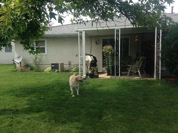 back yard