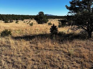 Artesian Xx Ave, Quemado, NM 87829