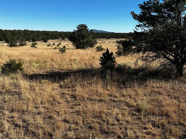 Artesian Xx Ave, Quemado, NM 87829