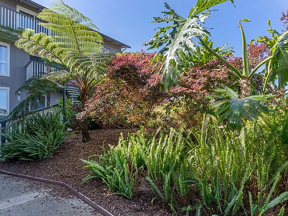 5th image of 65 Red Hill Cir #15G