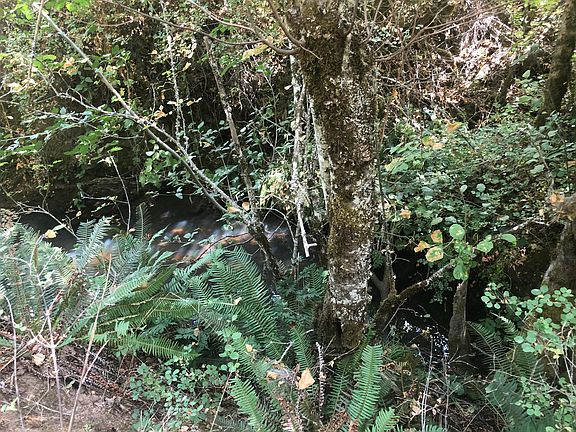 3rd image of 173 Arrowhead Dr