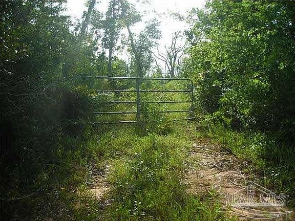 5th image of 1815 Collinsworth Rd