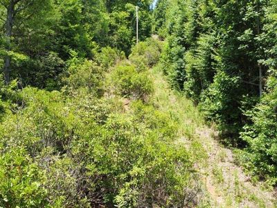 0 Tunnel Mountain Rd, Whittier, NC, 28789