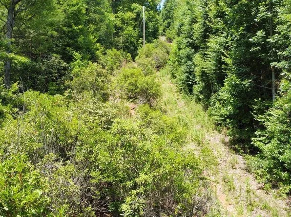 0 Tunnel Mountain Rd, Whittier, NC 28789