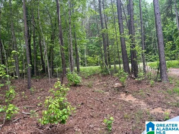 343 County Road 892 #1, Wedowee, AL 36278